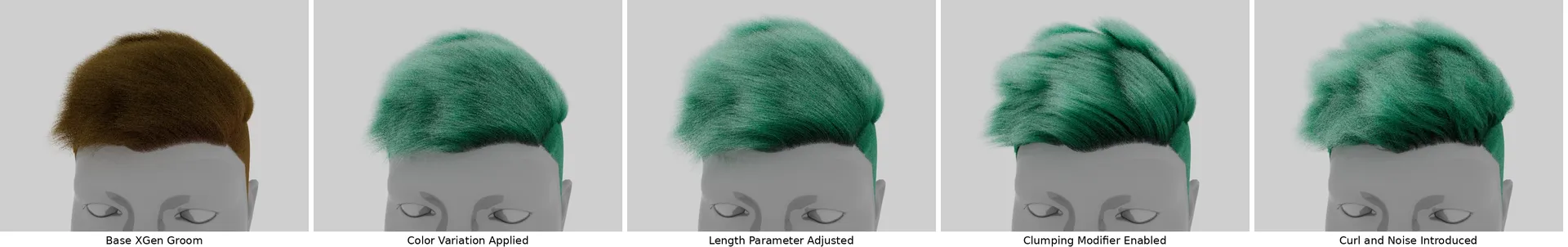 Hair Modifier Diagram